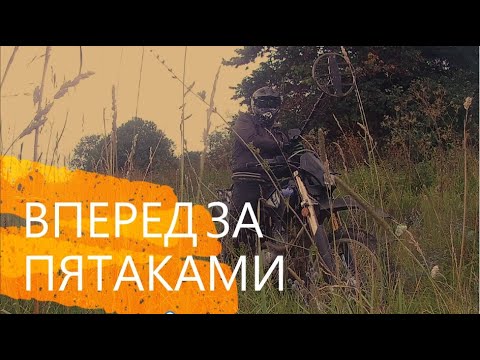 Видео: КАК Я НА КОП ЗА ПЯТАКАМИ ЕЗЖУ! КОП С АКА СОРЕКС ПРО