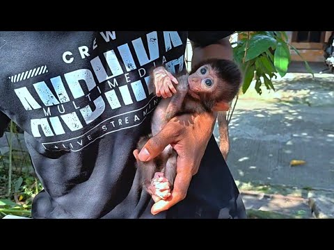 Видео: МАЛЫШКА МОНЬЕТ РУБИ РОДИЛАСЬ ПОЛНОЙ БОЛЕЗНЕЙ, НО ПОСМОТРИТЕ НА НЕЕ ТЕПЕРЬ!!!