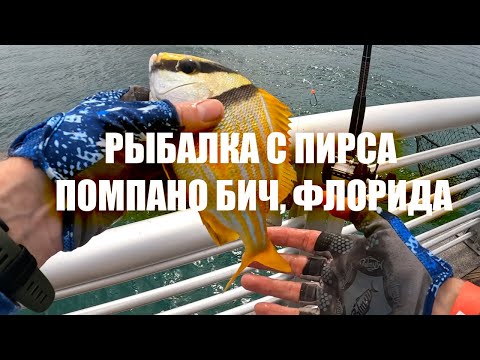 Видео: Рыбалка с пирса Помпано Бич, Флорида