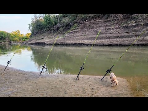 Видео: Ночная рыбалка на отмели!!! (Большая рыба)