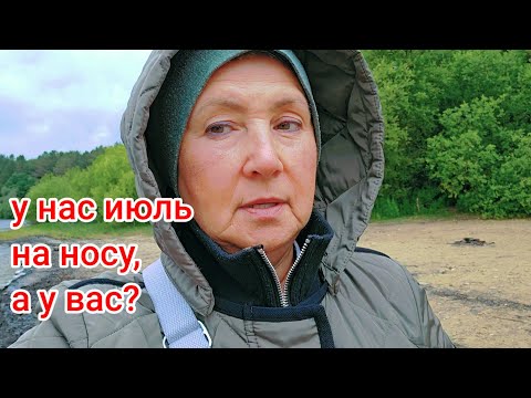 Видео: Чем в лесу занимаются в Англии?если ничего нельзя!а вот чем,смотрите #irinaok #англия #влог 06.2024