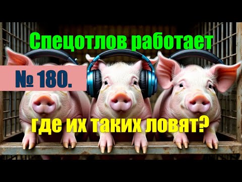 Видео: № 180. Опять попались тупые экземпляры. Спецотлов работает чётко.#антимошенники #аферисты