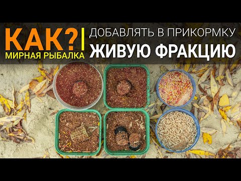 Видео: Как добавлять живую фракцию в прикормку? Рыбалка на фидер.