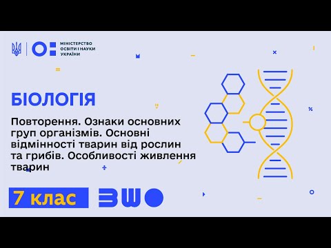 Видео: 7 клас. Біологія. Ознаки основних груп організмів. Основні відмінності тварин від рослин та грибів