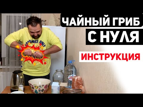 Видео: Чайный Гриб с Нуля - Инструкция