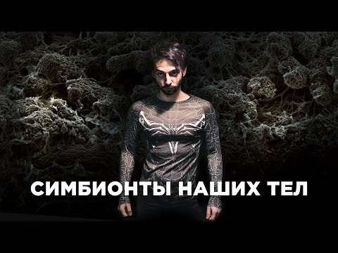 Видео: Внутренний СИМБИОЗ