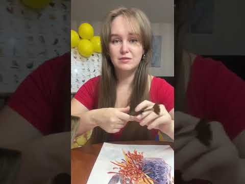 Видео: Эфир про клуб и стоковую иллюстрацию 