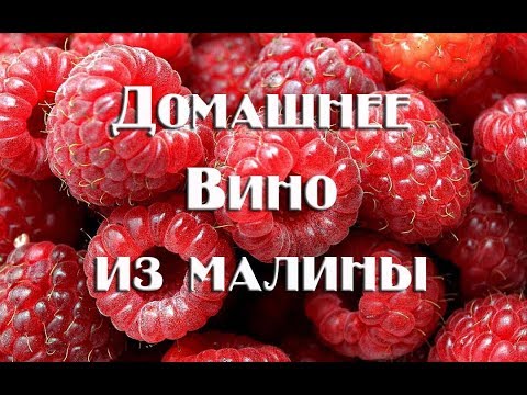 Видео: Как приготовить полусладкое вино из малины в домашних условиях.Видео 18+