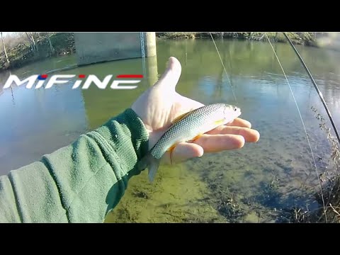 Видео: Рибилов Зимни Кефали с Силикон | Super Ultra Light Winter Fishing for Chub Mifine Nano Jig Мормишин
