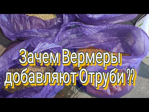 Видео: ЗАЧЕМ ВЕРМЕРЫ ДОБАВЛЯЮТ ОТРУБИ ЧЕРВЯМ