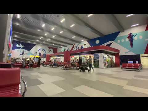 Видео: Летим в Сочи! Как я прошла он- Лайн регистрацию на рейс.