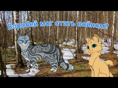 Видео: 🪶Воробей мог стать воителем?🪶 ||Теория||