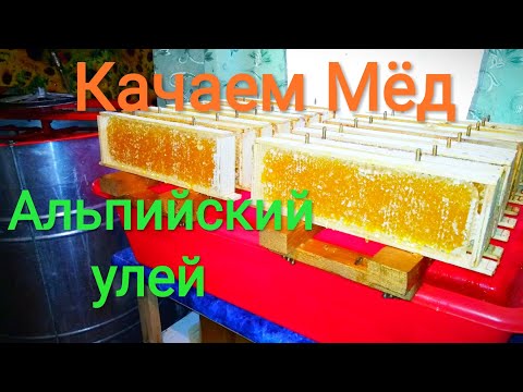 Видео: Качаем Мёд. Альпийский улей