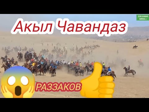 Видео: Лейлек р,н.Раззаковда Улак Башталды 05-11-2023.Акыл Чавандаз👍.