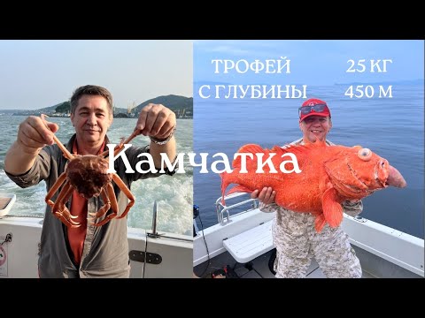 Видео: Камчатка по-взрослому: ловля крабов и трофейный окунь! #Камчатка #Рыбалка #Крабы #Окунь