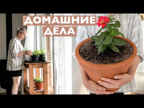 Видео: ДОМАШНИЕ ДЕЛА 🧺 РУТИНА | МОИ ПЕТУНИИ | ЕЗДИЛИ К МАМЕ НА РОДИНУ 🚗