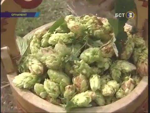 Видео: Чувашское пиво (сăра)