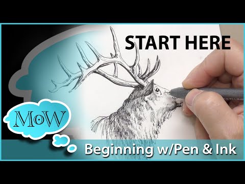 Видео: Ручка и чернила! С чего начать?