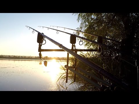 Видео: 《В Память о моём ПАПЕ 》 2 августа 2023