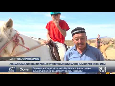Видео: Лошадей адайской породы готовят к международным соревнованиям