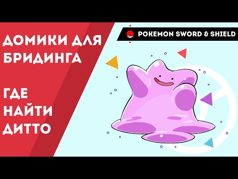 Видео: Pokemon Sword and Shield домики для бридинга, где найти дитто
