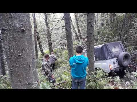 Видео: Пихтовый гребень по южному склону