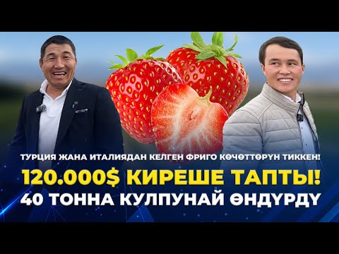 Видео: РУБЛЬ ТҮШҮП ЖАТКАНДА ЭМНЕ КЫЛЫШЫБЫЗ КЕРЕК?