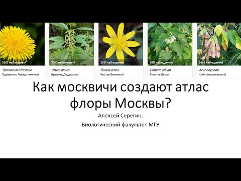 Видео: Алексей Серегин "Как москвичи создают атлас флоры Москвы" (04.08.2024)