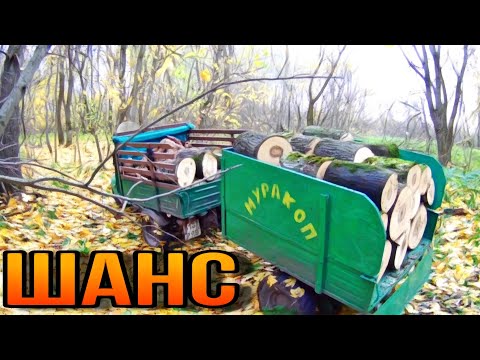 Видео: Шанс