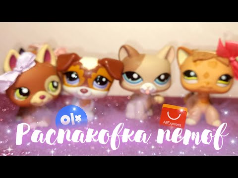 Видео: LPS ПЕТЫ с OLX и AliExpress | Джек Рассел, Овчарка, Кошка, Стоячка 😍
