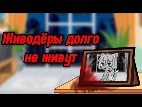 Видео: 🐈ЖИВОДЁРЫ ДОЛГО НЕ ЖИВУТ🐈 СТРАШИЛКА ГАЧАЛАЙФ