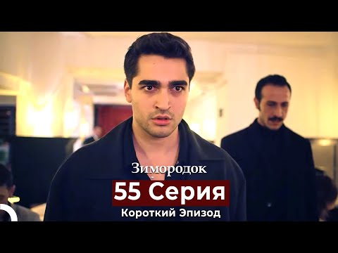 Видео: Зимородок 55 Cерия (Короткий Эпизод) (Русский дубляж)
