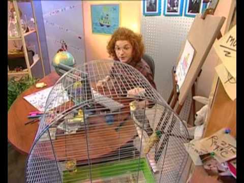 Видео: Физика 13. Формула расчёта скорости. Определение вектора скорости — Академия занимательных наук