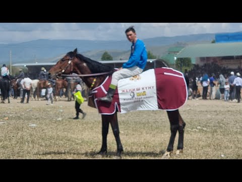 Видео: Жорго салыш 09 05 2023  Жалал-Абад