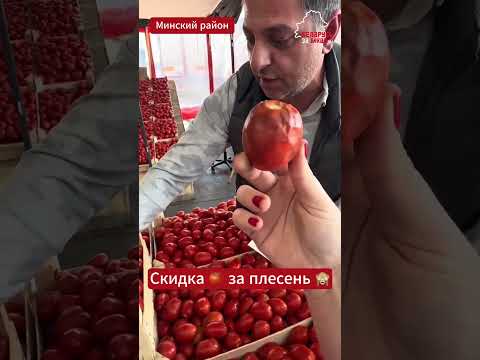 Видео: Беларуска отказалась покупать оптом со скидкой ящик помидоров с плесенью