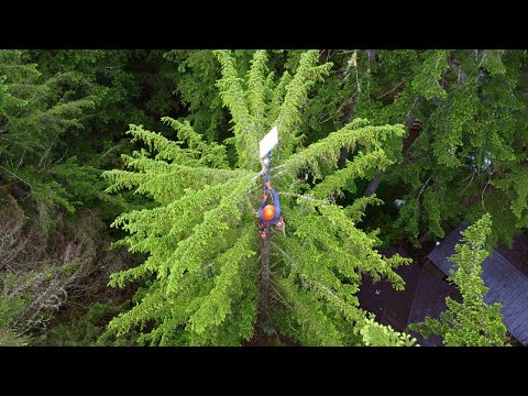 Видео: Установка Starlink на 100-футовом дереве!