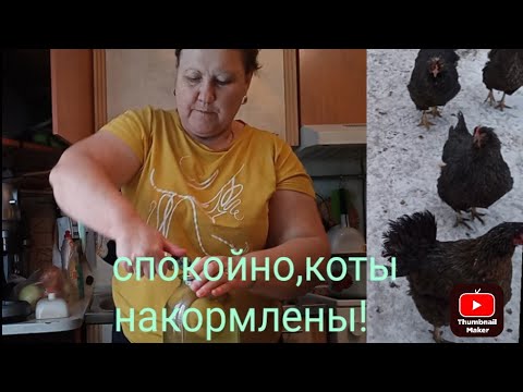 Видео: ГОРЫ СВЕРНУЛА ЗА ВЫХОДНЫЕ/ 🤦‍♀️🙆‍♀️И ДАЖЕ КОТОВ НАКОРМИЛА