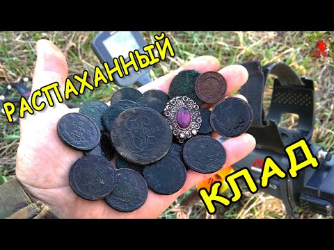 Видео: Нарвались на кладовую распашку монет / нашли драгоценности