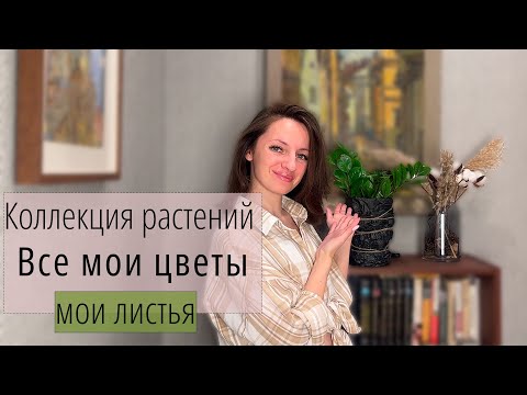Видео: Комнатные растения: обзор первой коллекции цветов у меня дома