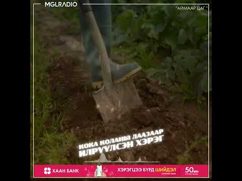 Видео: Аймаар цаг | 2024-01-30 | Төрсөн хүүгийнхээ гарт амиа алджээ