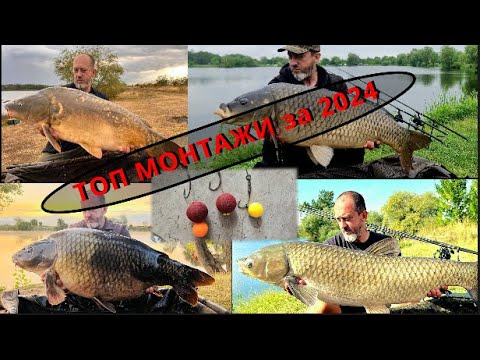 Видео: Най - добрите ми монтажи за трофейни шарани.