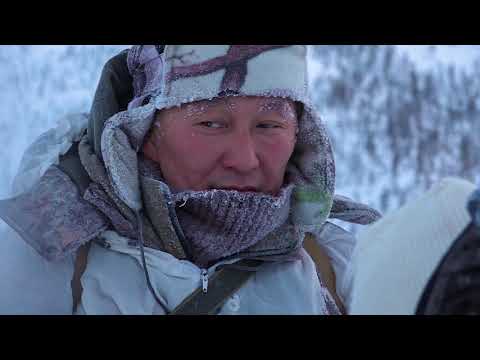 Видео: Горная охота на снежного барана