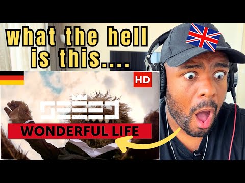 Видео: Реакция британца на Seeed - Wonderful Life (видео Aargh)