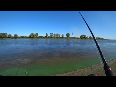 Видео: Первый и удачный выезд в этом сезоне! Рыбалка на спиннинг 2020