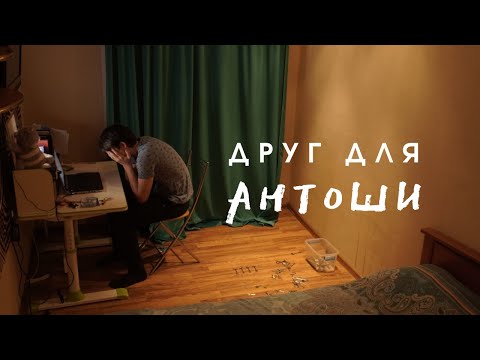 Видео: «Друг для Антоши», короткометражный фильм (2020)