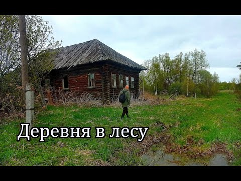 Видео: УДИВИЛИСЬ НАЙДЕННОМУ В ДОМАХ. Заброшенная деревня МАЛОЕ МАТВУЕВО, Кировская область.