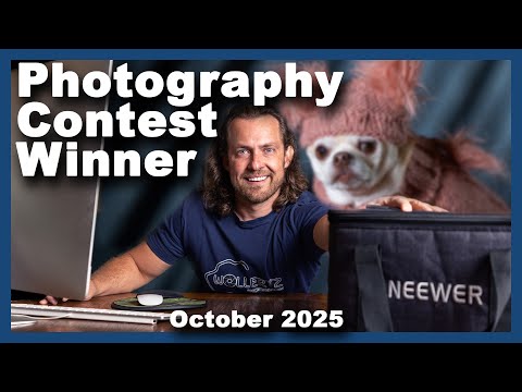 Видео: Победитель фотоконкурса октября 2025 г. — День наряда для вашего питомца