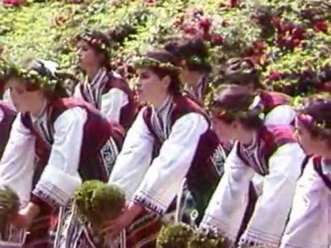 Видео: Пеперуда