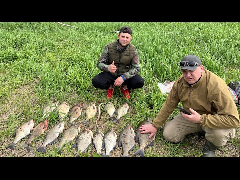 Видео: Трофейный лещ и угорь — рыбалка на Эльбе