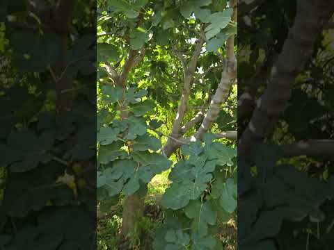 Видео: 8 ноября 2025 г.